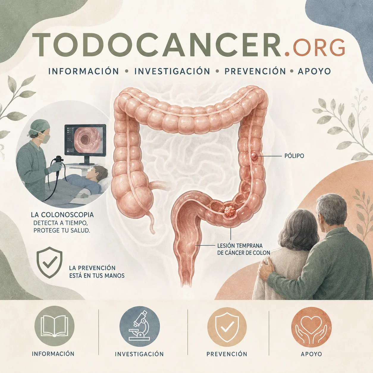 Cáncer de ano: síntomas, diagnóstico y tratamiento